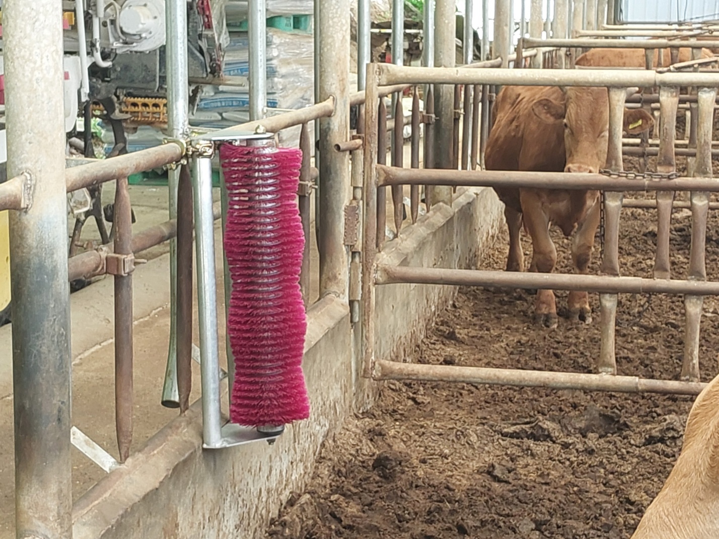 제작사례 – 카우브러쉬